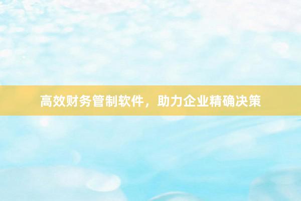 高效财务管制软件，助力企业精确决策